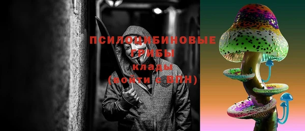 прущие грибы Абаза