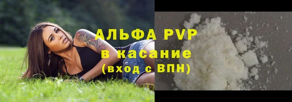 прущие грибы Абаза