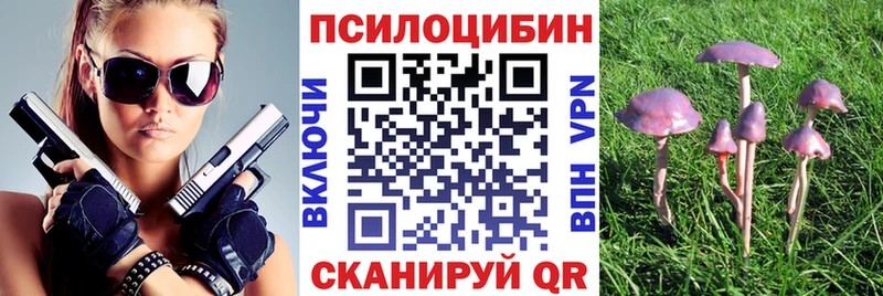 закладки  Кинешма  mega рабочий сайт  Псилоцибиновые грибы Magic Shrooms 